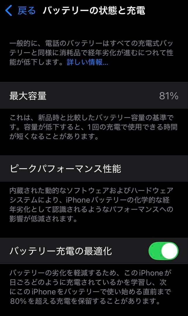 Apple iPhone 13 青色 256GB本体 & ケースなどのおまけ付き
