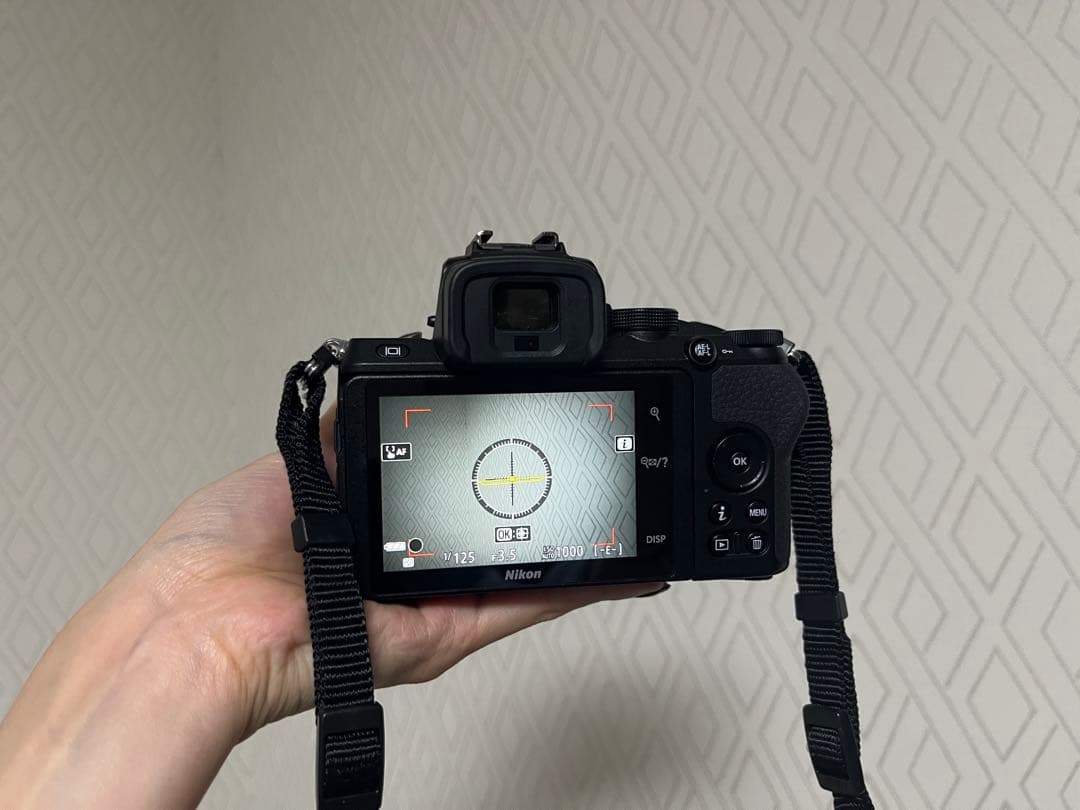 週末値下げ‼️【動作確認済み】Nikon Z 50 DX 16-50 Kit