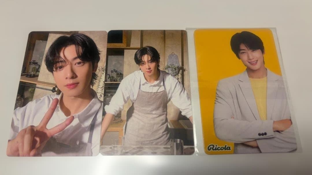 (お値下げ中) チャウヌ MYSTERYELEVATOR シンガポール公演トレカ