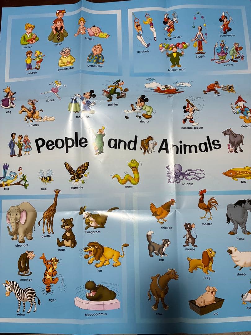 ディズニー英語システム　メインプログラムセット