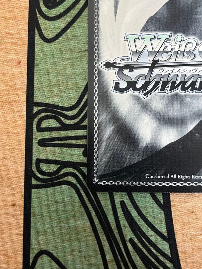 ヴァイス 春の光の中で 渚 SP