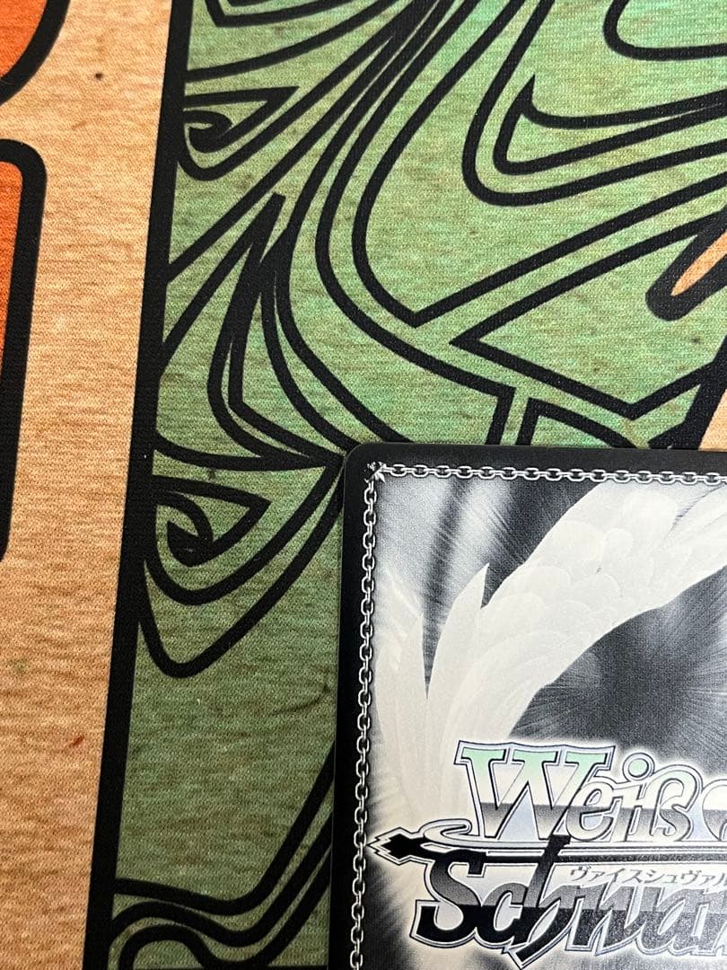 ヴァイス 春の光の中で 渚 SP