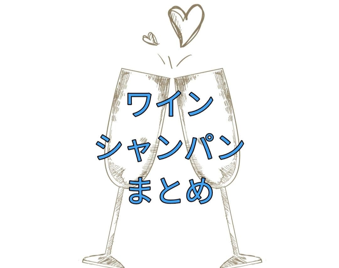 ワイン　 シャンパン　 5本セット