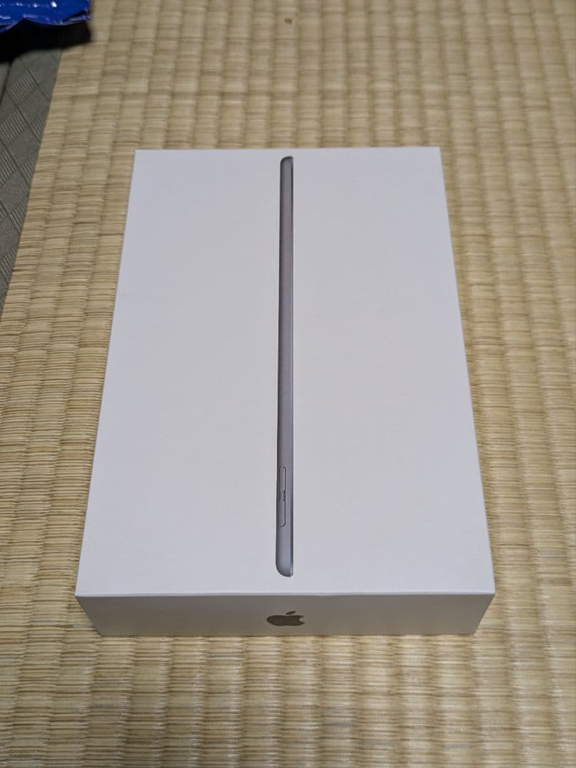 Apple iPad mini 5 スペースグレー 64GB WiーFiモデル