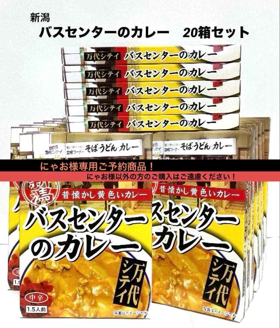 【にゃおご予約商品！】新潟 バスセンターのカレー　20個セット