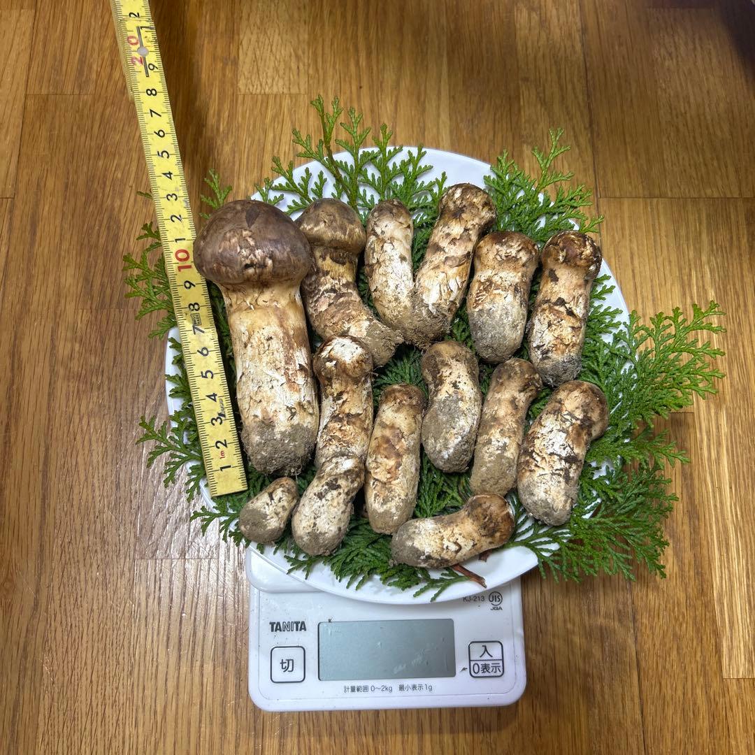 岩手県産松茸 253ｇ