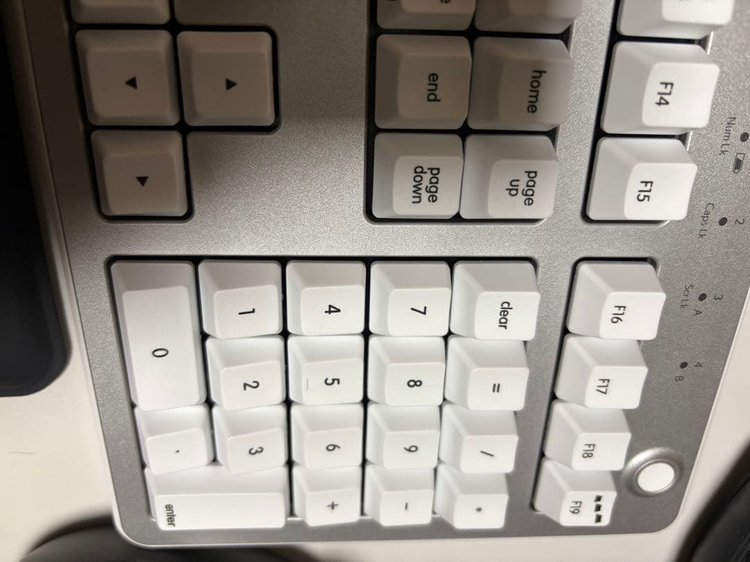 リアルフォース Mac R3HF21 フルサイズ キーボード