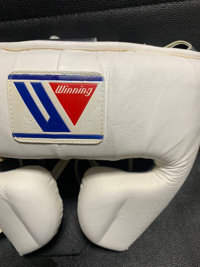 Winning ヘッドギア FG-2900 M size