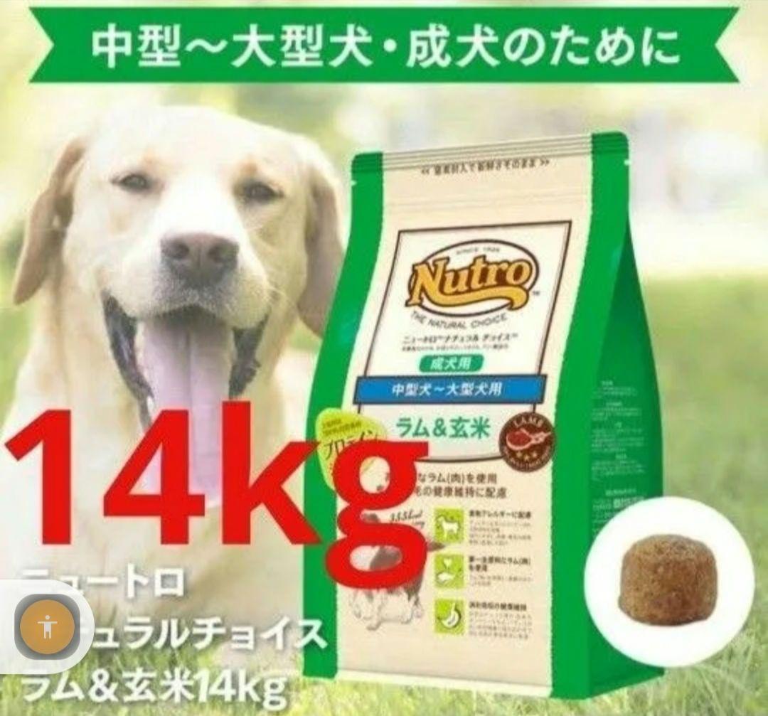 ニュートロナチュラルチョイスラム＆玄米中型犬大型犬成犬用 14kg