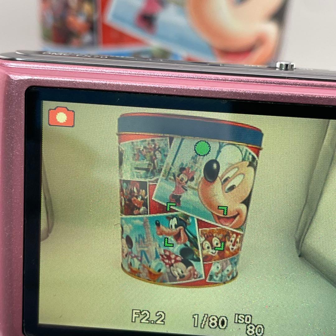 実写良⭕️【動作確認済】LUMIX Panasonic DMC-FX70