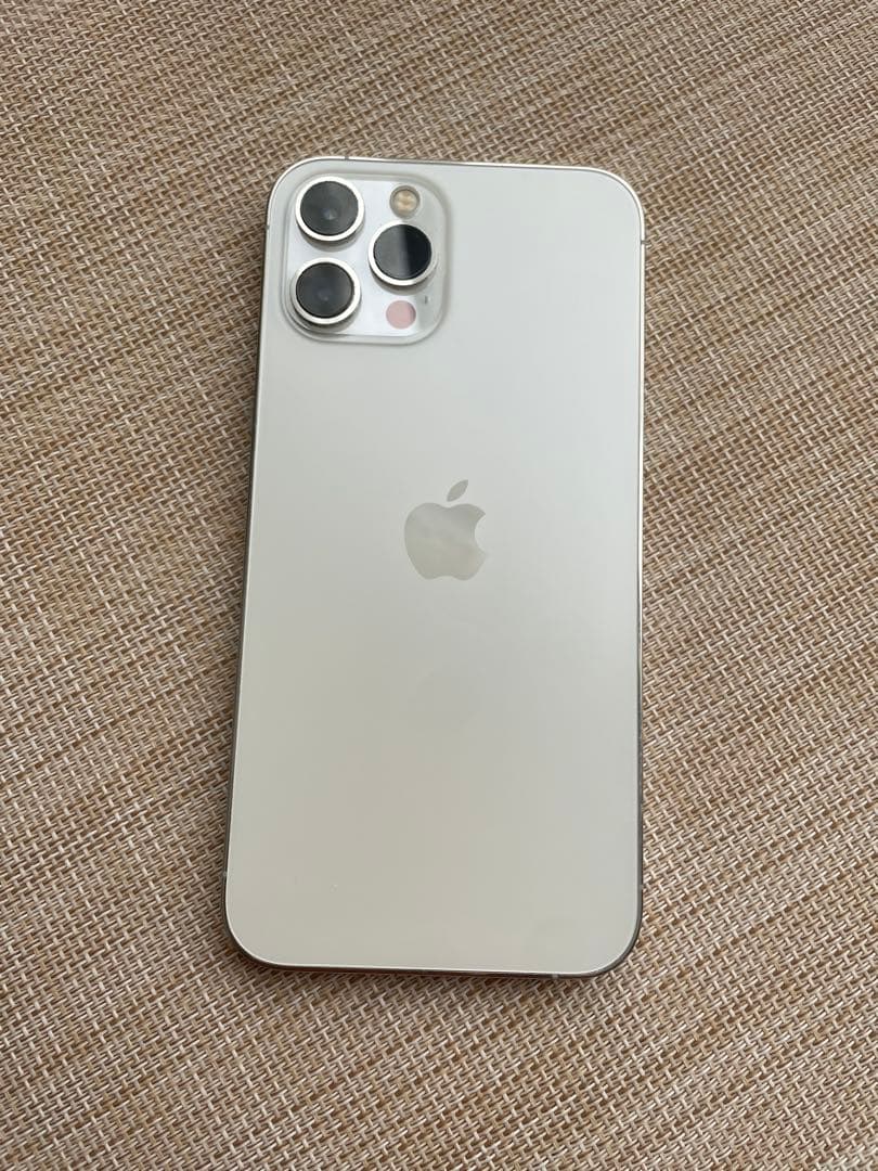 お*で様 アルディガバス♪ iPhone12 Pro Max 強化ガラスフ