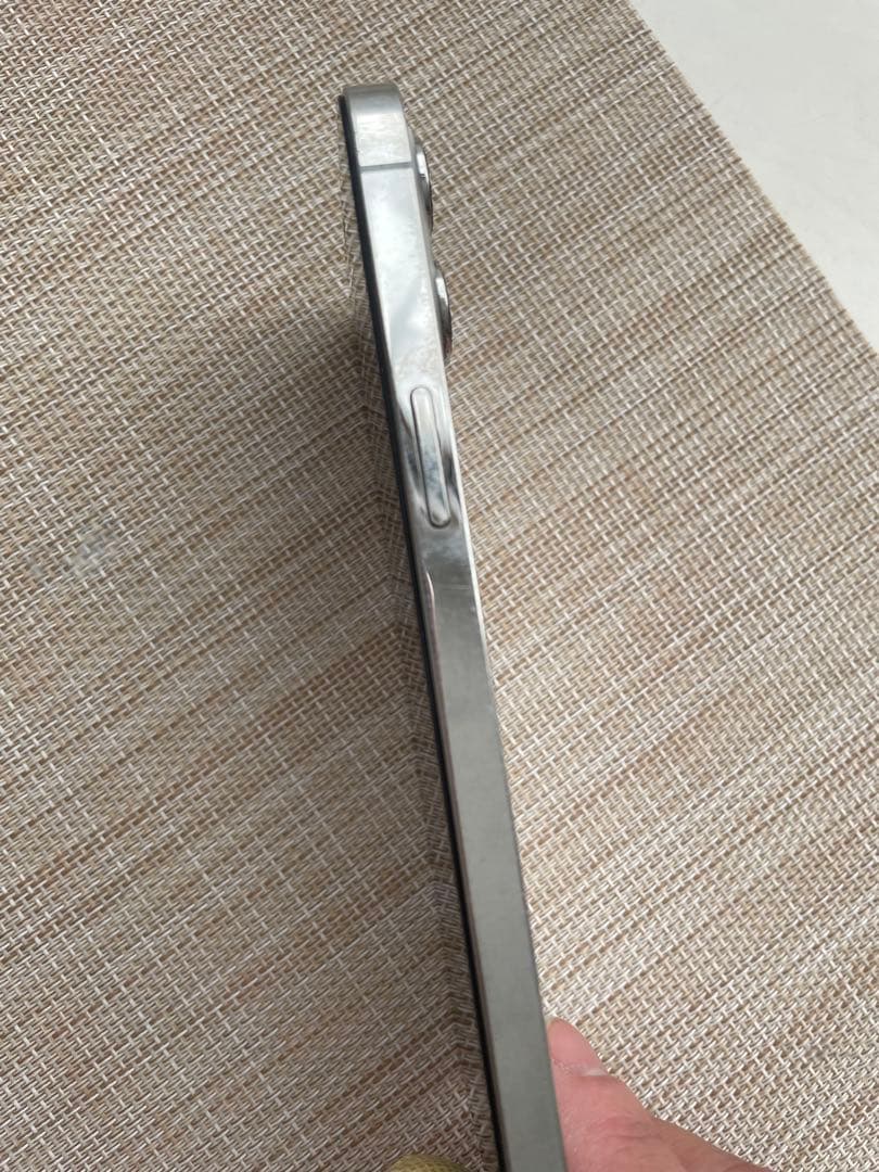 お*で様 アルディガバス♪ iPhone12 Pro Max 強化ガラスフ