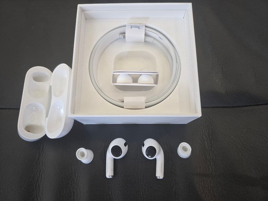 綺麗美品 AirPodsPro 第一世代 MWP22J/A 国内正規品