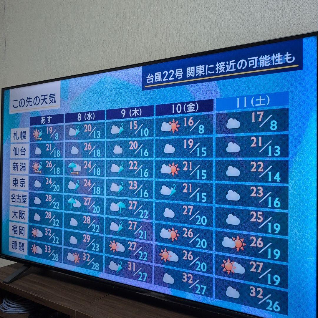 配送設定再出品　専用 大画面 液晶テレビ