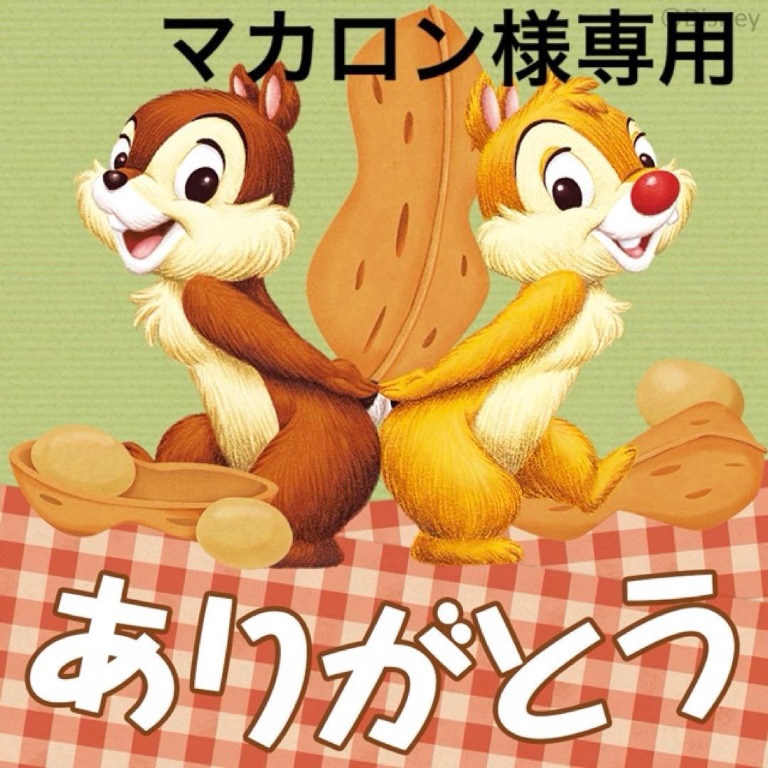 マカロン⭐︎歯ブラシ