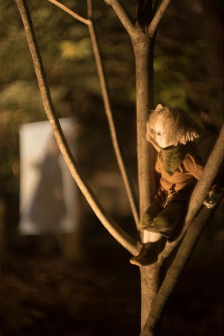 Summarit 50mm f/1.5 レンズ