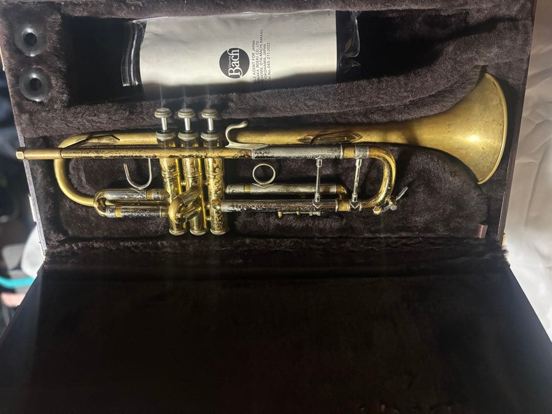 虹色Stradivarius 180ML model37 セミアーリー