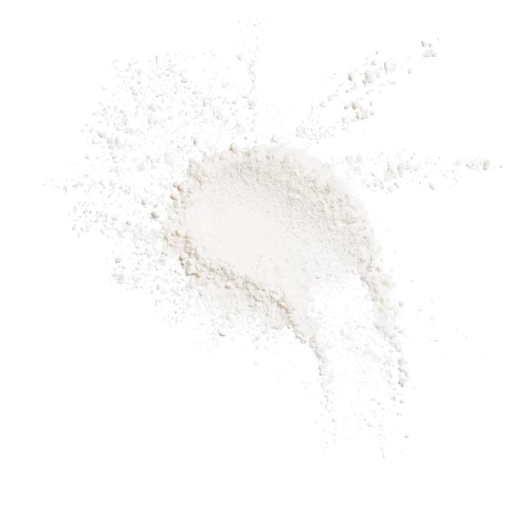 【✳︎りかページ✳︎】シャネル プードゥル ユニヴェルセル リーブル N 10