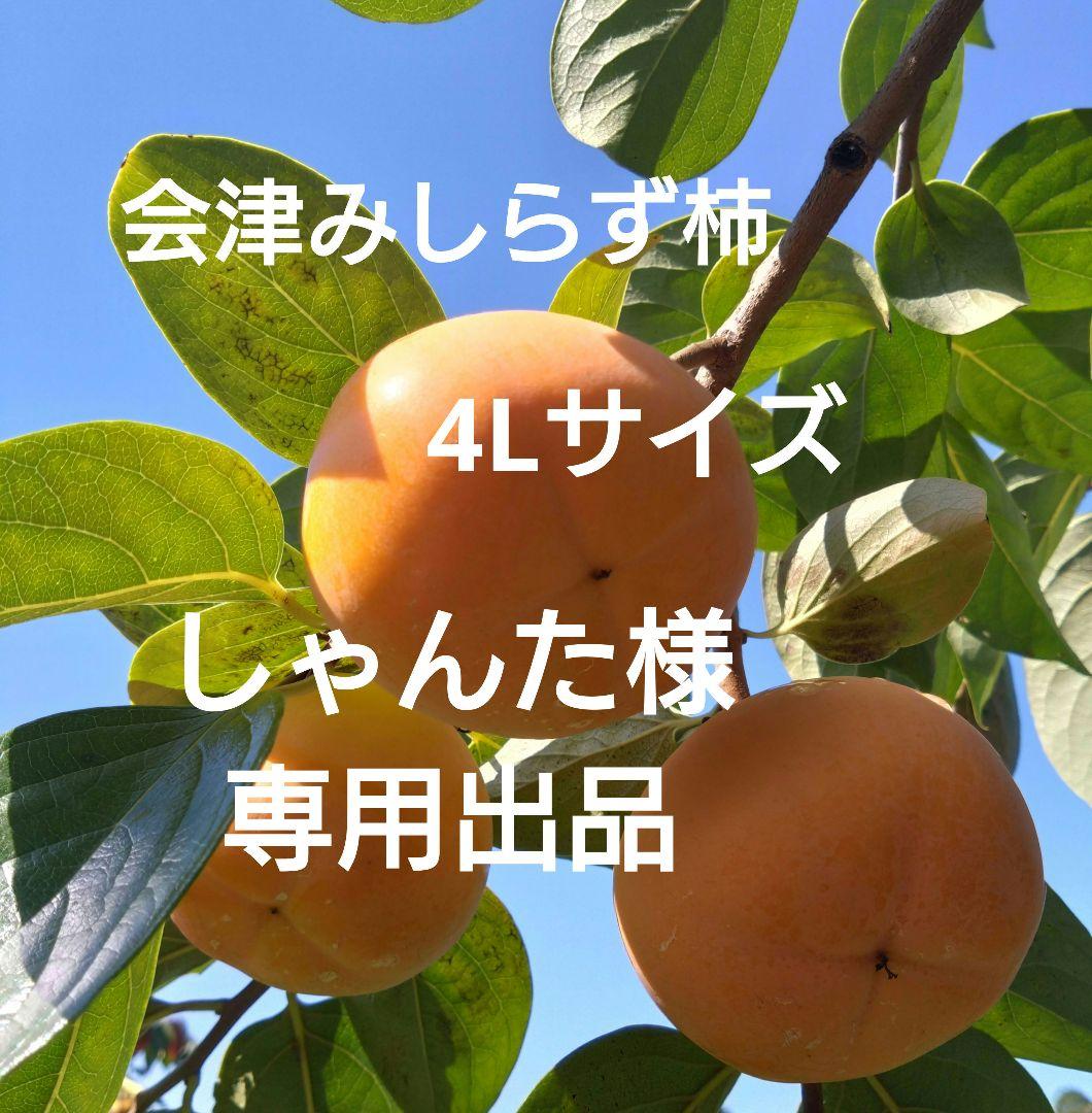 会津みしらず柿　会津身知らず柿　4Ｌサイズ　B級品　15個入り　6