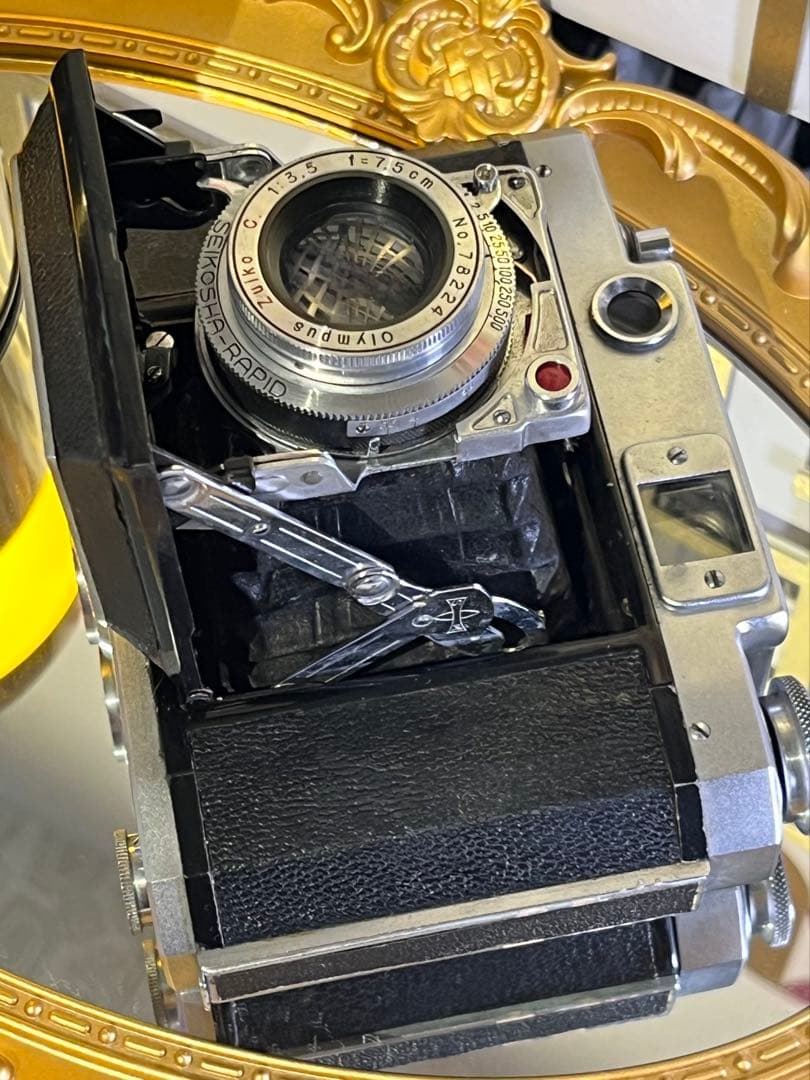 MAMIYA-6 Olympus Zuiko C. 7.5cm f3.5 蛇腹