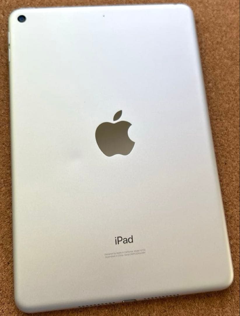 iPad9 第9世代 64GB (30) 90%