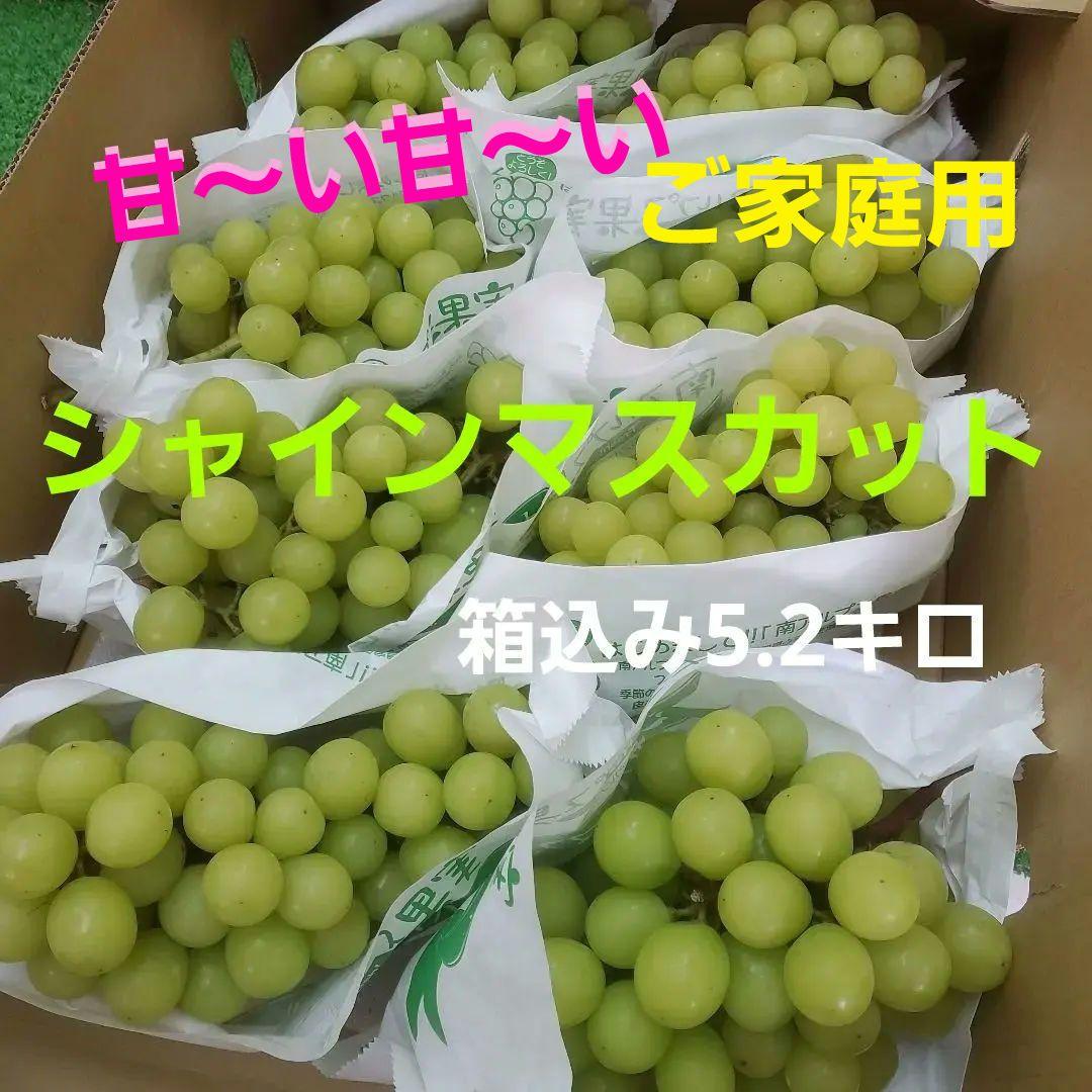 6️⃣ 山梨県産 シャインマスカット ８房入り 箱込み5.2キロ