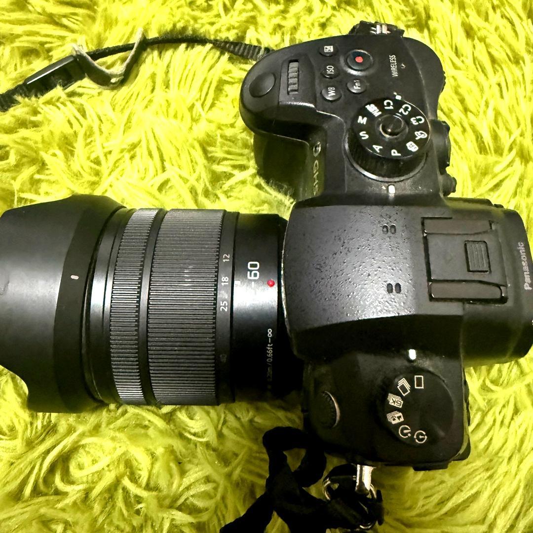 LUMIX GH5 デジタル一眼レフカメラ　12-60mm H-FS12060