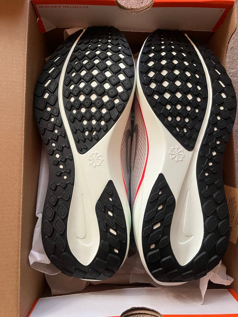 Nike ペガサス41 27cm