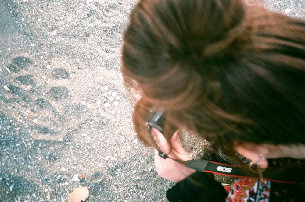 【実写確認済/完動品】Olympus AF-10★フィルムカメラ★