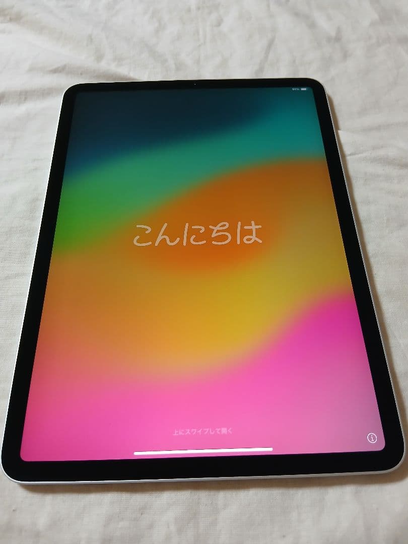 美品 iPad Pro11インチ 第1世代 バッテリー95%