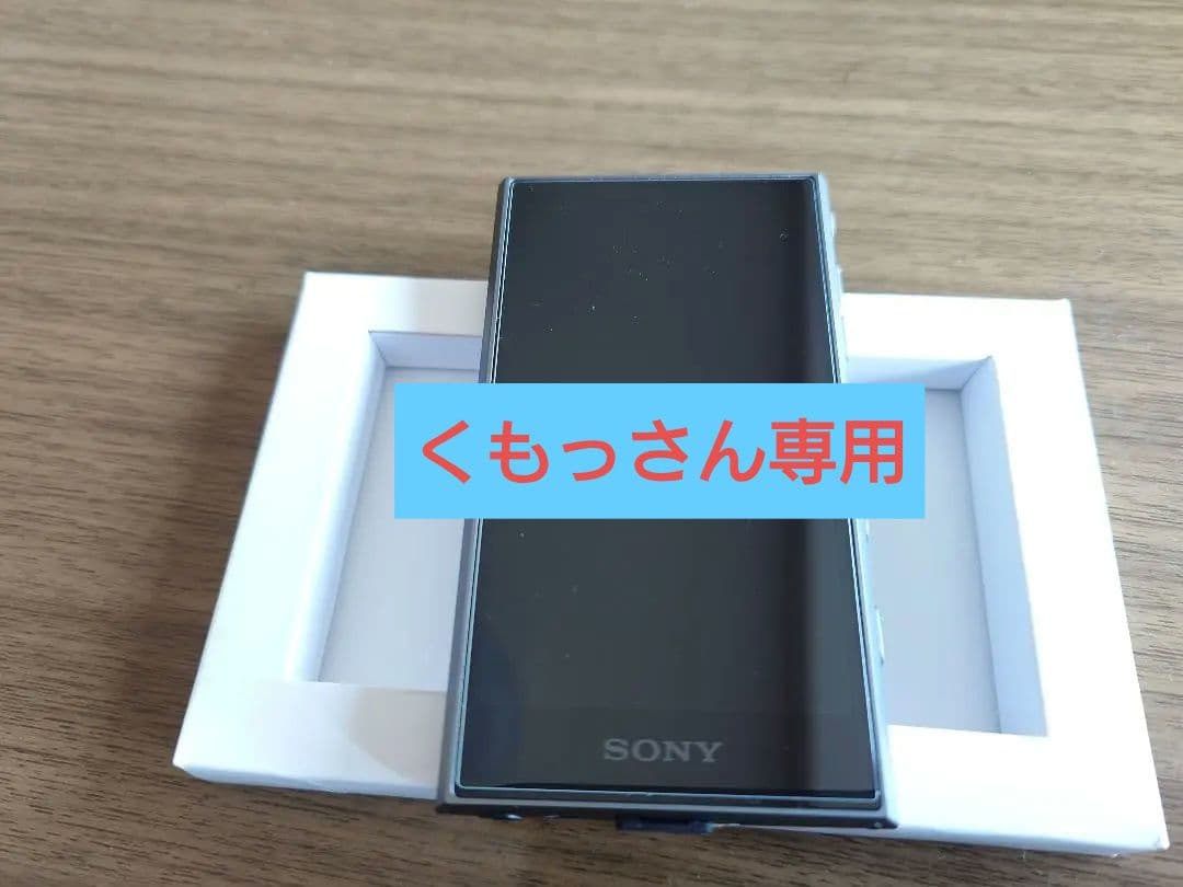 SONY WALKMAN NW-A306　32G
