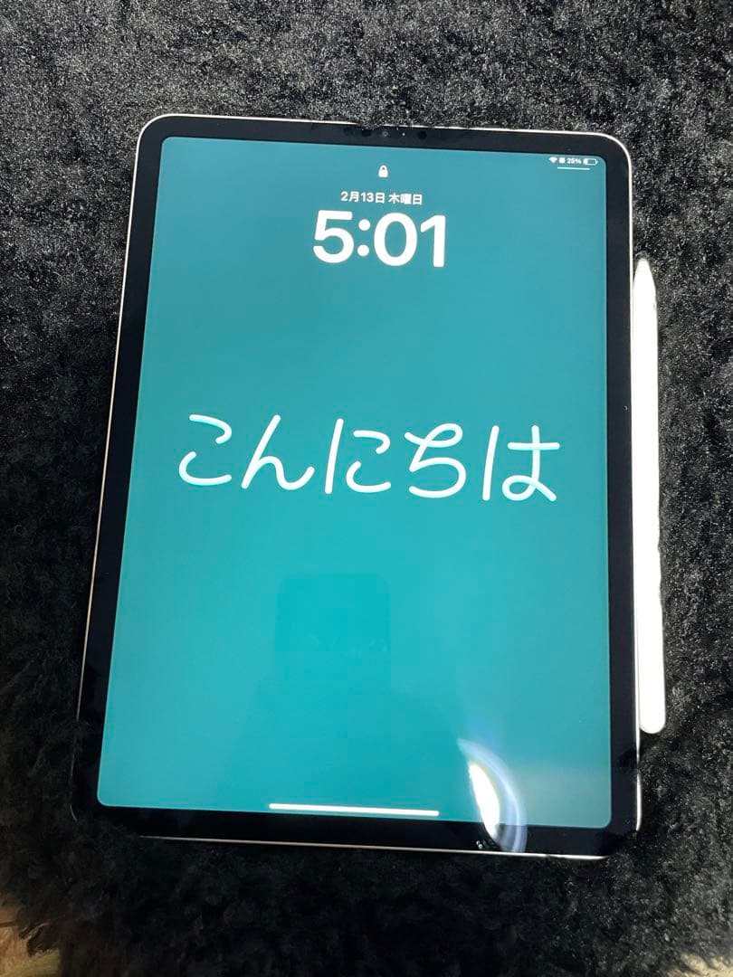 週末限定【セット】M2 iPad Pro 11インチ第４世代 Wi-Fi