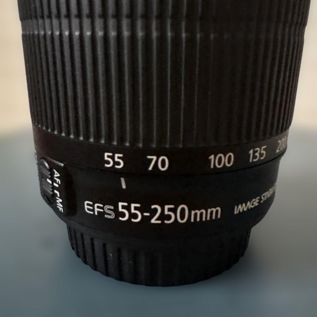 Canon EFS 55-250mm ズームレンズ