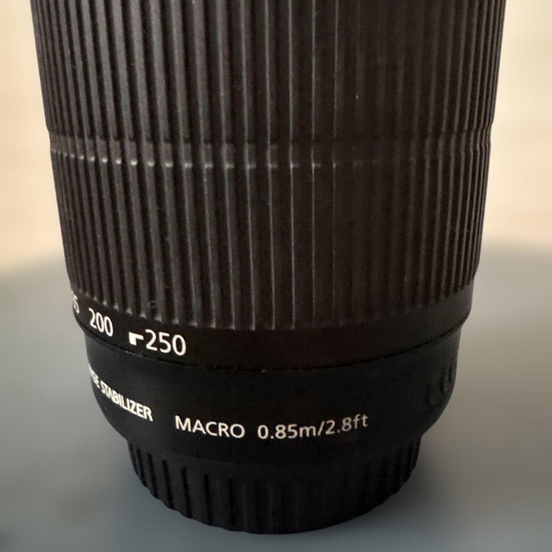 Canon EFS 55-250mm ズームレンズ