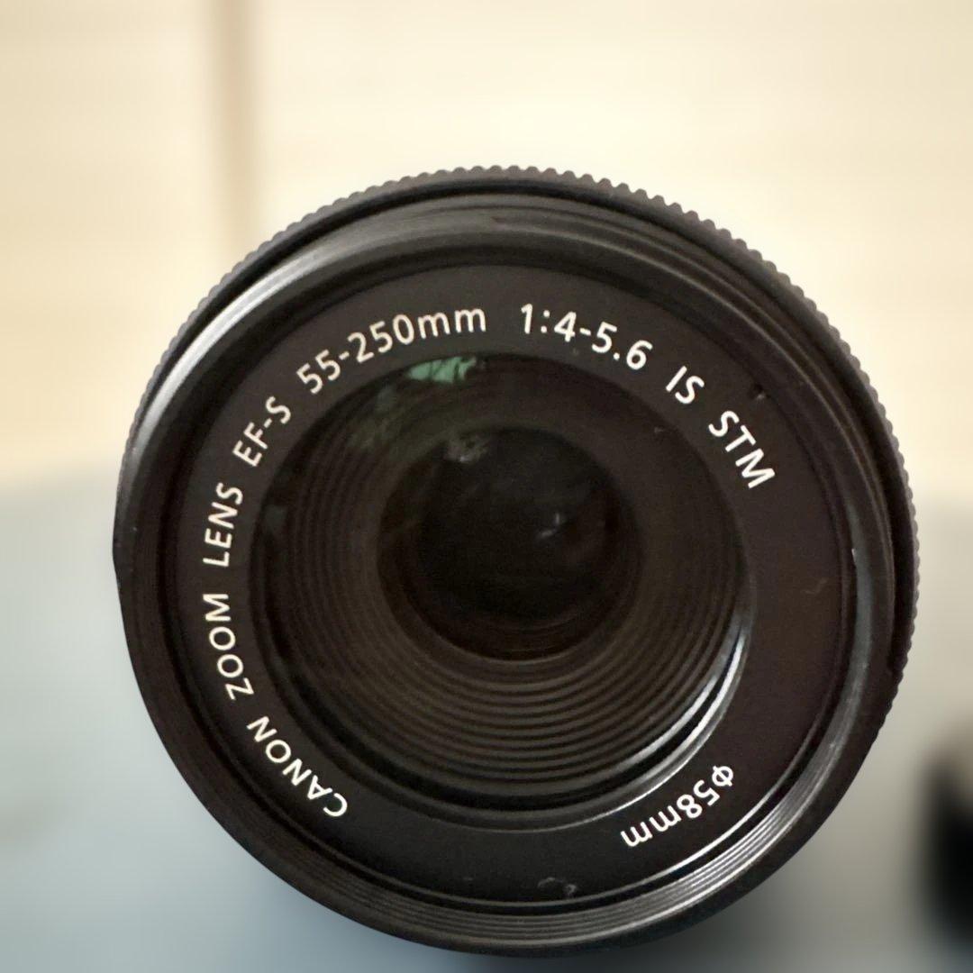 Canon EFS 55-250mm ズームレンズ