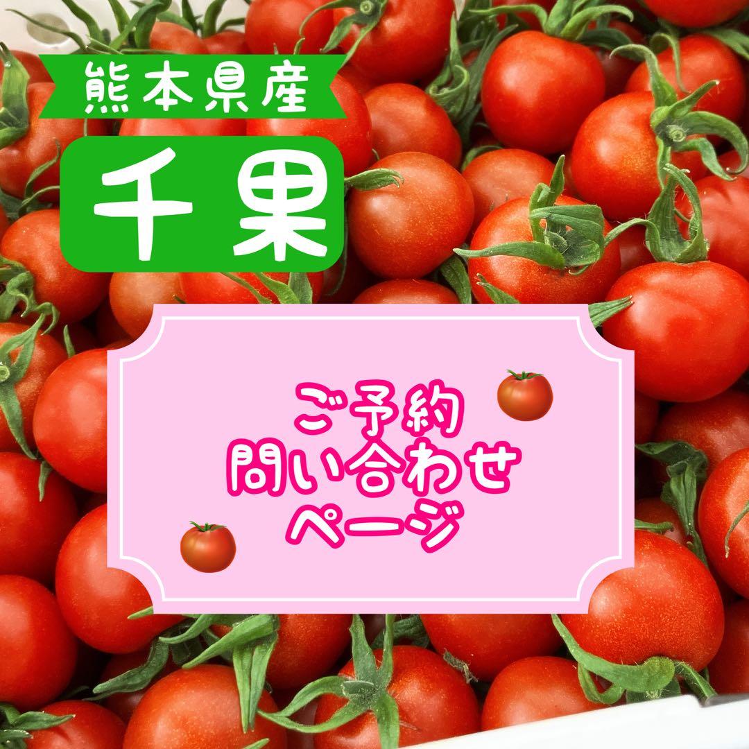 【ご予約・問い合わせ】熊本県産　ミニトマト　千果