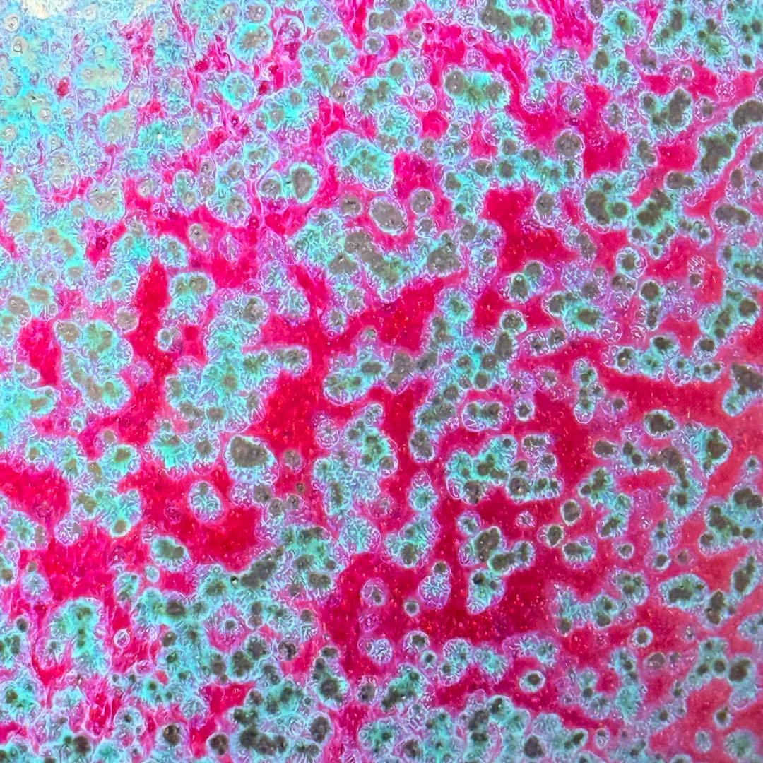 四郎窯　日展作家　四郎作　紫尖紅面取　壺　共箱　高さ23㎝　上位作