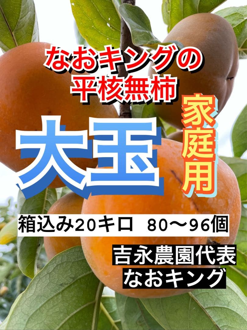 sokさん専用 柿 箱込 20キロ平核無柿 種無し 家庭用