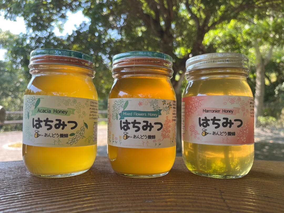 はちみつ 600g×3瓶 蜂蜜 ハチミツ 国産
