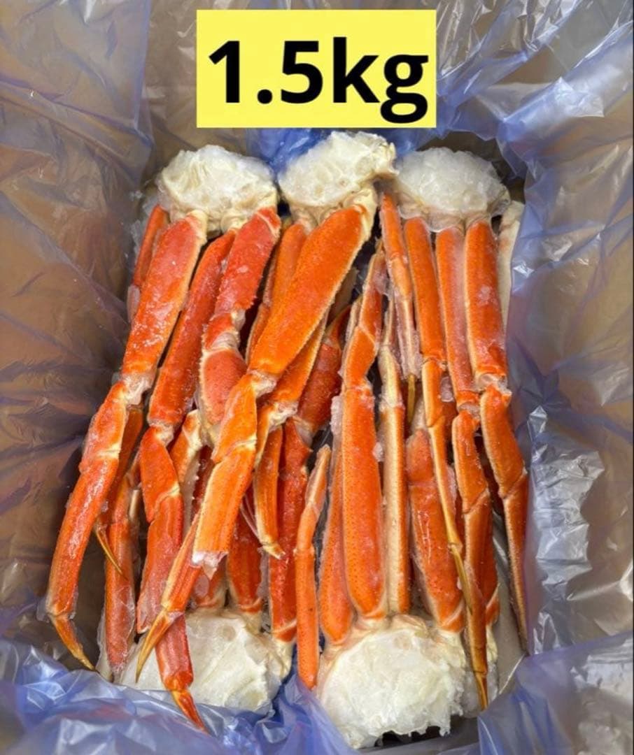 【年末分予約受付中】冷凍ボイル本ズワイ蟹 カニ 1.5kg 5~7肩