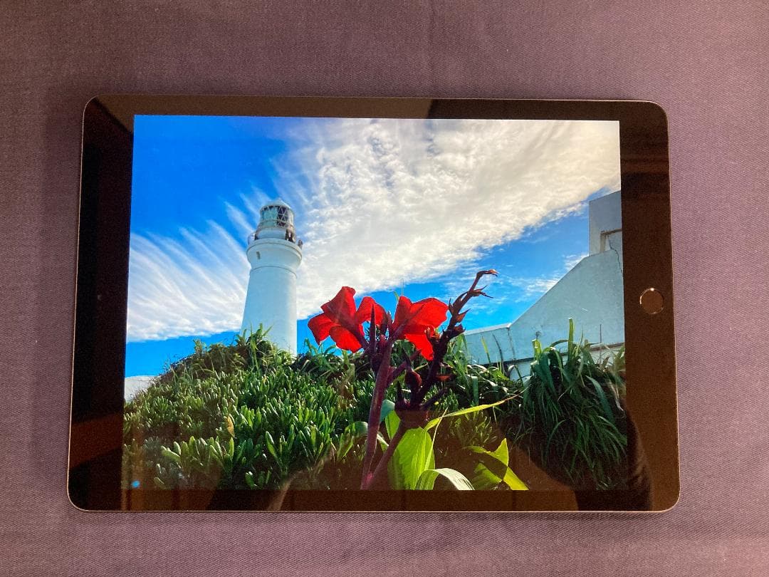 iPad 第7世代 本体 + Apple Pencil