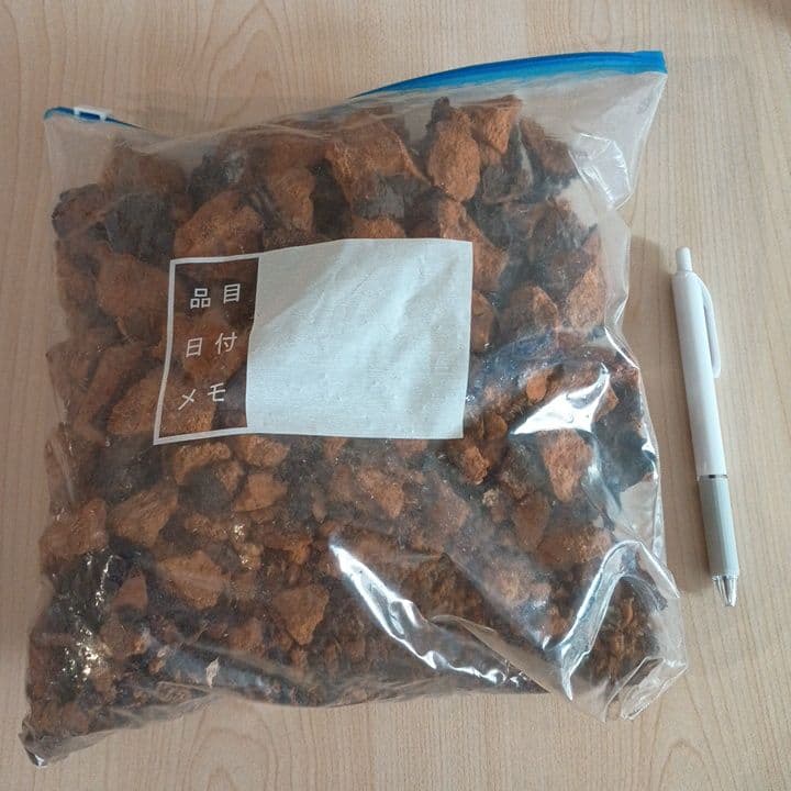 カバノアナタケ