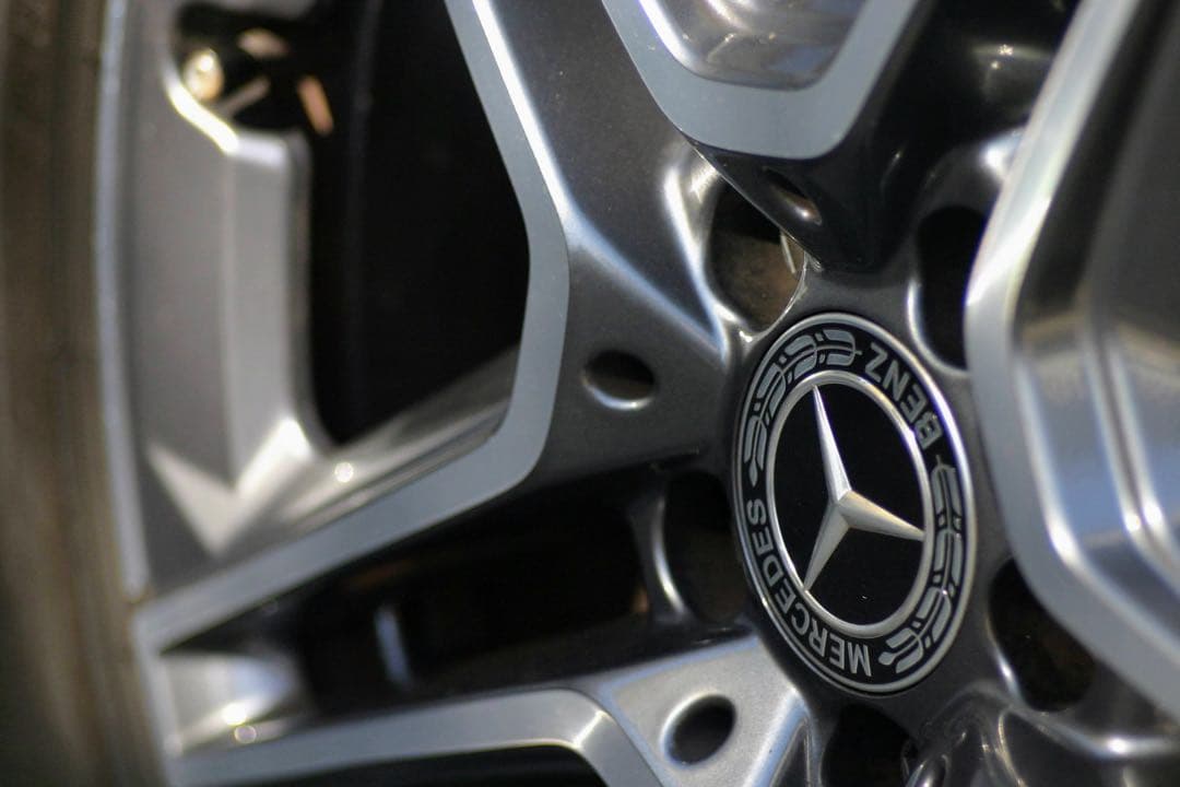 【超銘玉】PENTACON electric 2.8/100 M42(作例追加)