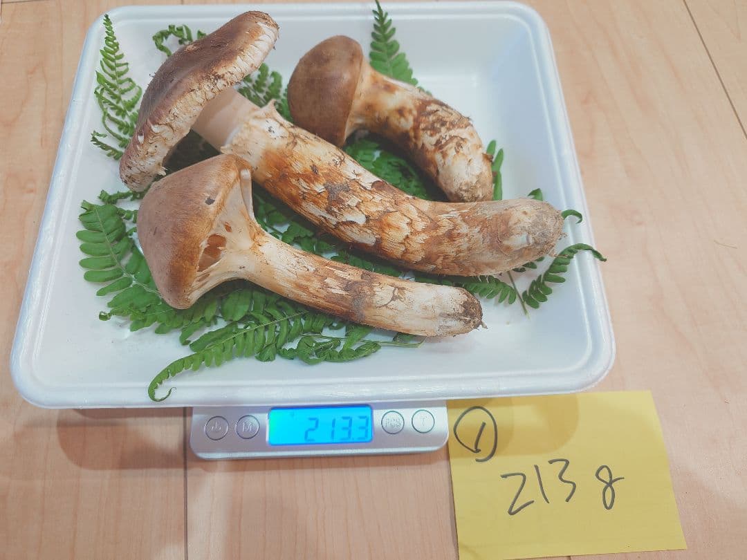 岩手県岩泉産　松茸（天然物）213g①
