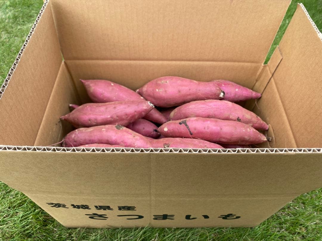 茨城県産紅はるか20キロ　串style品