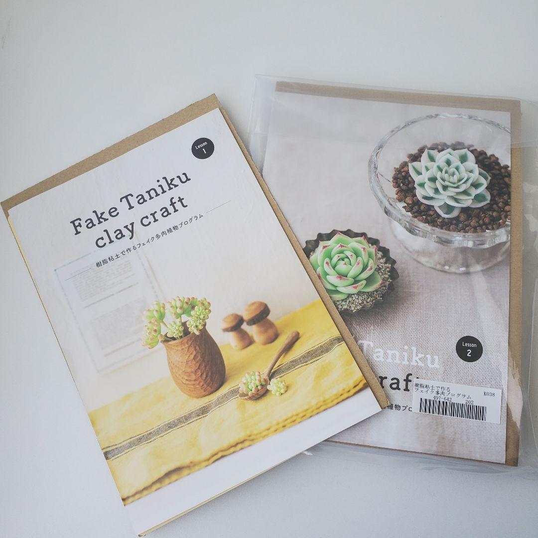 フェリシモ　樹脂粘土で作るフェイク多肉植物プログラム1~6