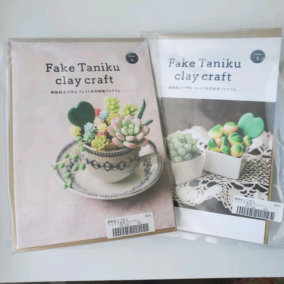 フェリシモ　樹脂粘土で作るフェイク多肉植物プログラム1~6