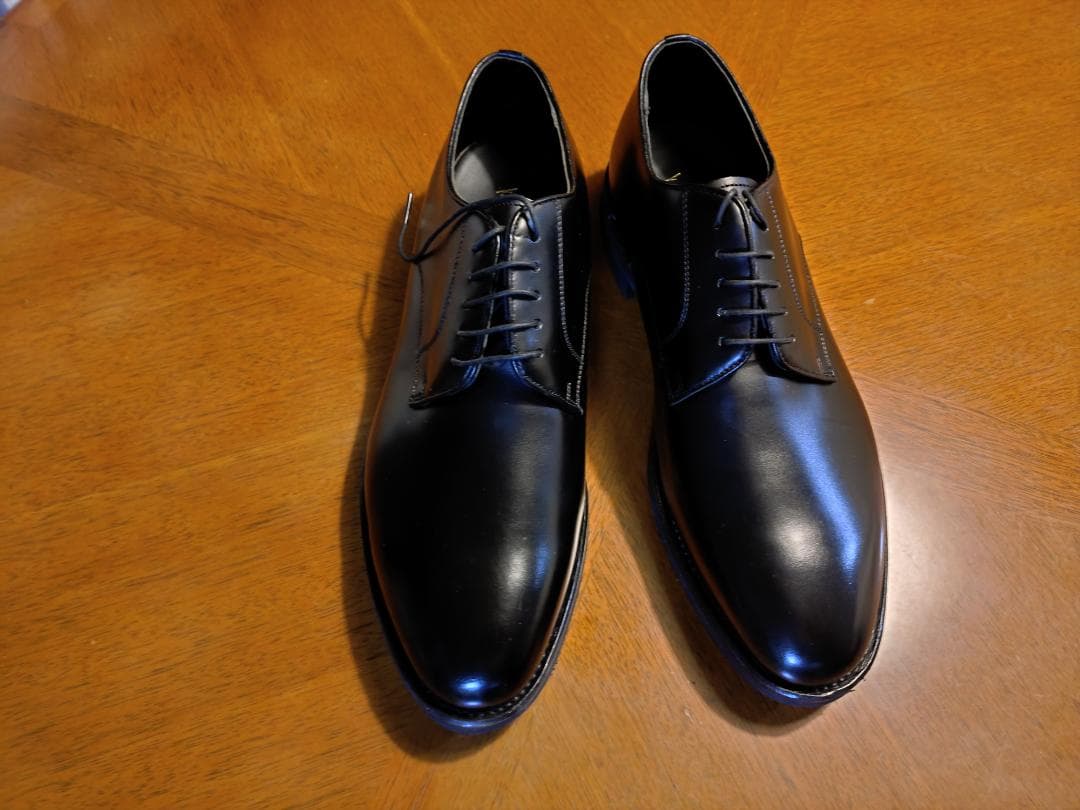 靴 REGAL GEOX W254 27EEE