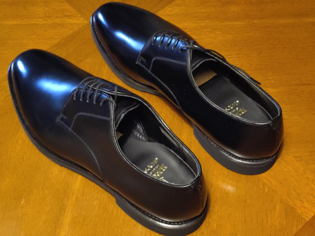 靴 REGAL GEOX W254 27EEE