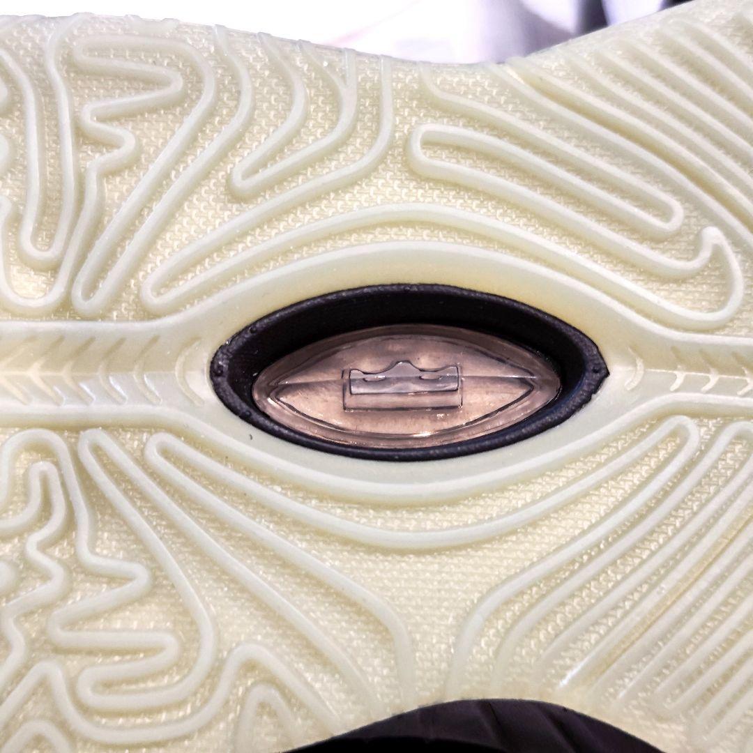 24時間内発送【未使用新品】NIKE レブロン21 Tahitian 23.0